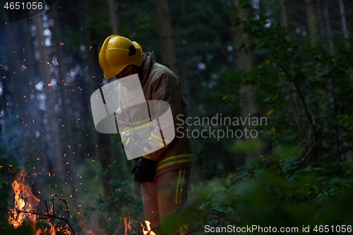 Image of firefighter in action