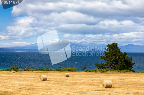 Image of ocean landscape scenery background