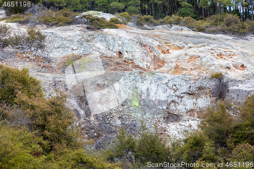 Image of geothermal activity at Rotorua in New Zealand