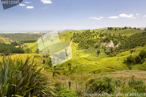 Image of landscape Matamata