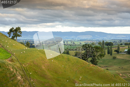 Image of typical rural landscape in New Zealand