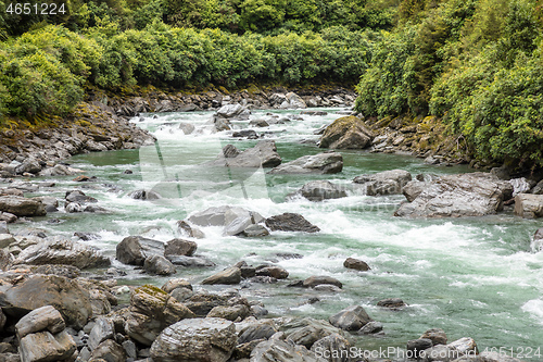 Image of Haast River Landsborough Valley New Zealand