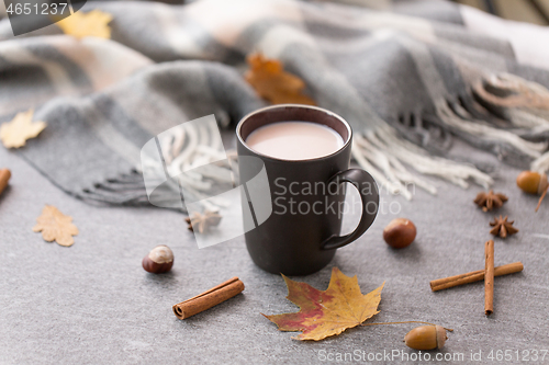 Image of hot chocolate, autumn leaves and warm blanket