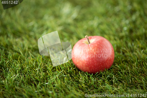 Image of close up of ripe red apple on artificial grass