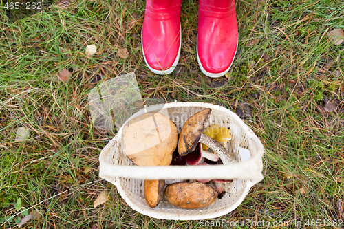 Image of basket of mushrooms and feet in gumboots in forest