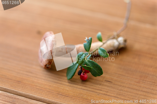 Image of cowberry and lactarius rufus mushroom on wood
