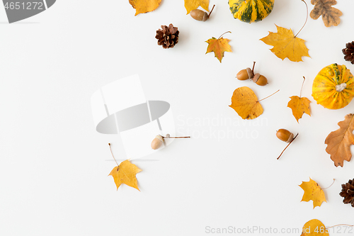 Image of autumn leaves, chestnuts, acorns and pumpkins