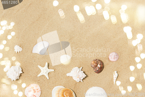 Image of seashells on beach sand