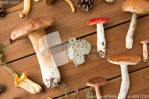 Image of different edible mushrooms on wooden background