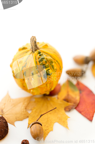 Image of close up of pumpkin, acorns and autumn leaves