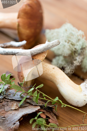 Image of boletus mushrooms, moss, branch and bark on wood