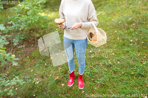 Image of woman with basket picking mushrooms in forest