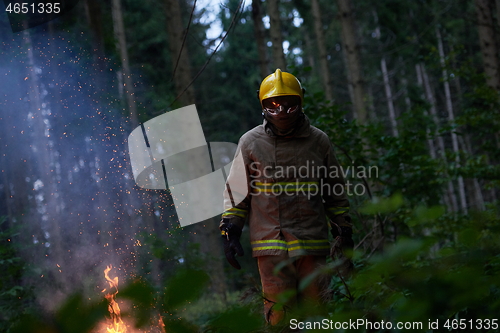 Image of firefighter in action