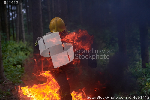 Image of firefighter in action
