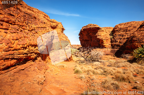 Image of Kings Canyon in center Australia