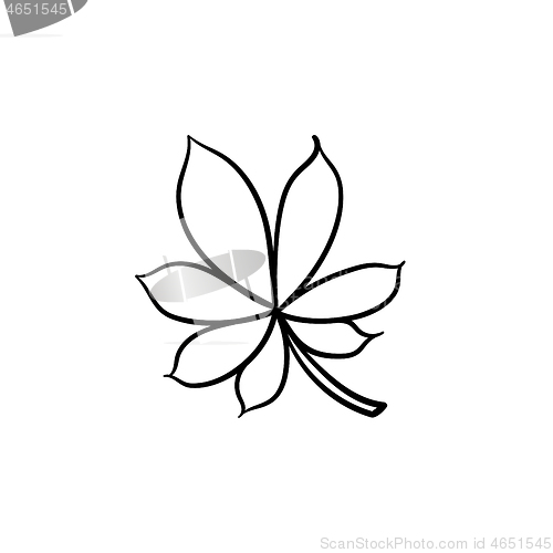 Image of Chestnut leaf hand drawn sketch icon.