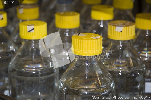 Image of Bottles