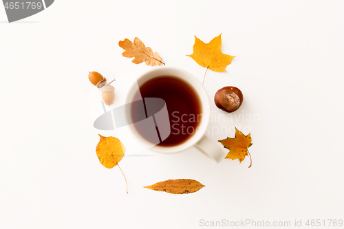 Image of cup of tea, autumn leaves, acorns and chestnut