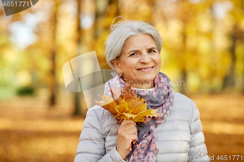 Image of senior woman with maple leaves at autumn park