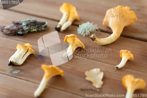 Image of chanterelles on wooden background