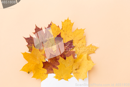 Image of autumn maple leaves with envelope on beige