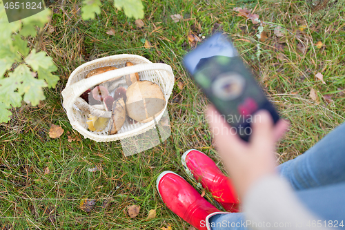 Image of woman photographing mushrooms by smartphone