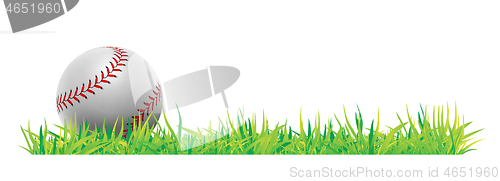 Image of Baseball ball with green grass on white background. Vector
