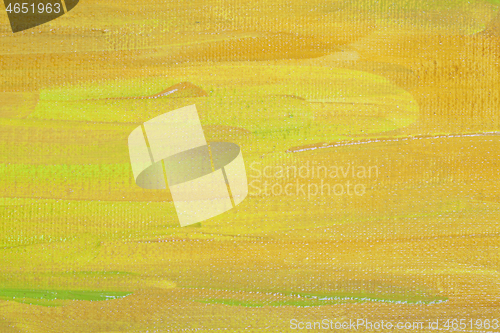 Image of Yellow and green colored wall texture background. 