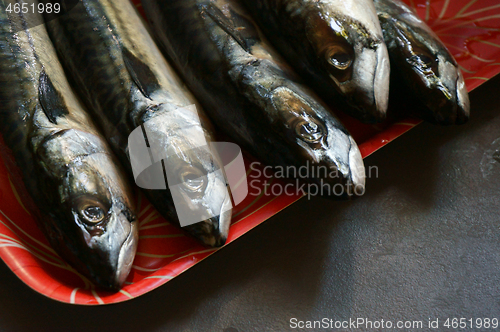 Image of raw mackerel fish background