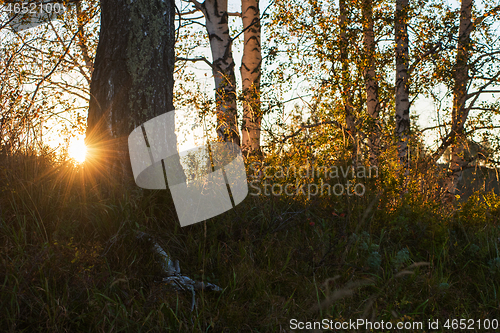 Image of Beauty sunset in the mountains