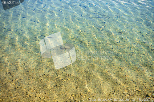 Image of water surface Starnberg lake