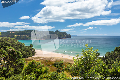 Image of hot springs beach New Zealand Coromandel