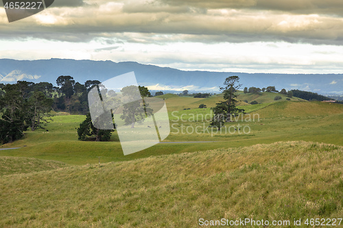 Image of typical rural landscape in New Zealand