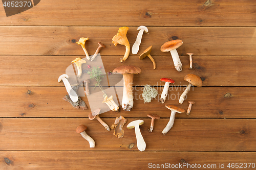 Image of different edible mushrooms on wooden background