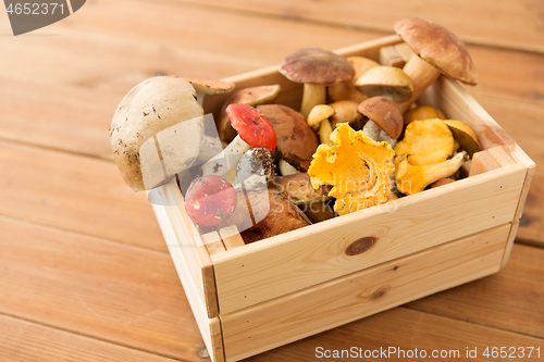 Image of wooden box of different edible mushrooms