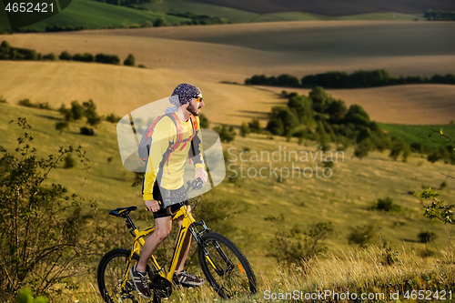 Image of Young cyclist on a rural road through green spring meadow