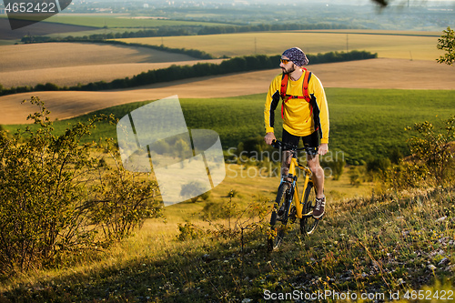 Image of Young cyclist on a rural road through green spring meadow