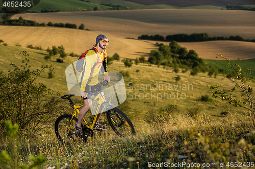 Image of Young cyclist on a rural road through green spring meadow