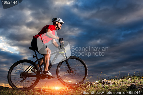 Image of Mountain Bike cyclist riding single track