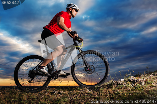 Image of Mountain Bike cyclist riding single track