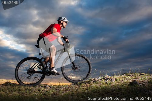 Image of Mountain Bike cyclist riding single track