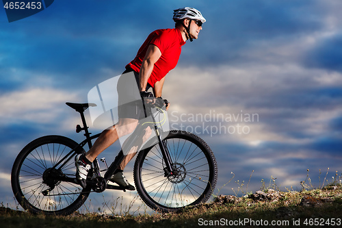Image of Mountain Bike cyclist riding single track