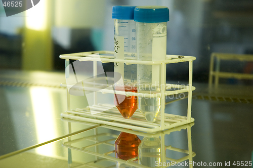 Image of Test tubes in biotech