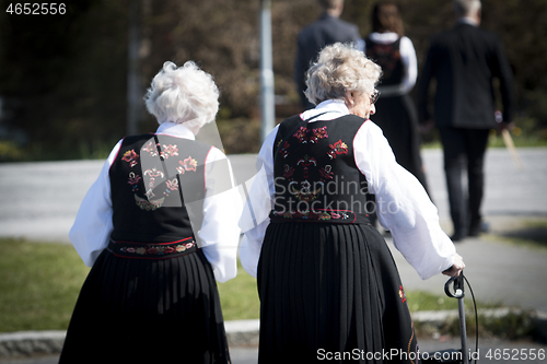 Image of Norwegian Constitution Day