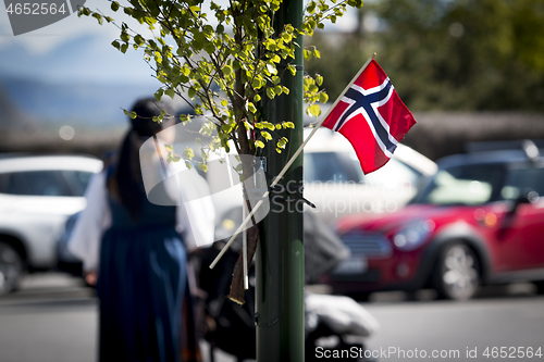 Image of Norwegian Constitution Day