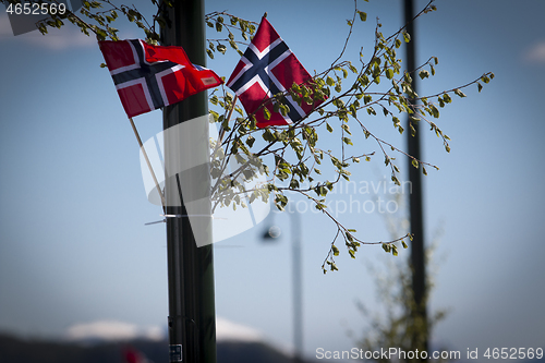 Image of Norwegian Constitution Day