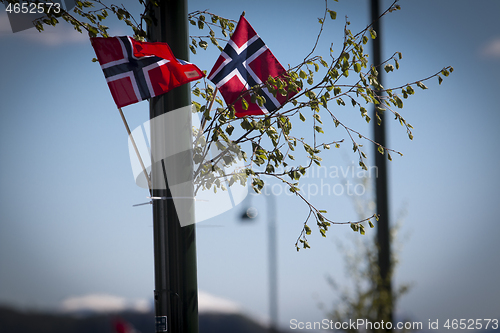 Image of Norwegian Constitution Day