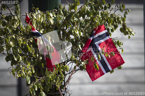 Image of Norwegian Constitution Day