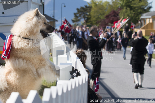 Image of Norwegian Constitution Day