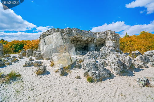 Image of The Stone Desert